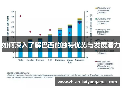 如何深入了解巴西的独特优势与发展潜力 如何深入了解巴西的独特优势与发展潜力