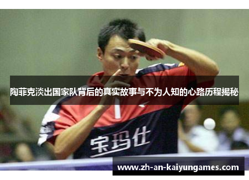 陶菲克淡出国家队背后的真实故事与不为人知的心路历程揭秘 陶菲克淡出国家队背后的真实故事与不为人知的心路历程揭秘