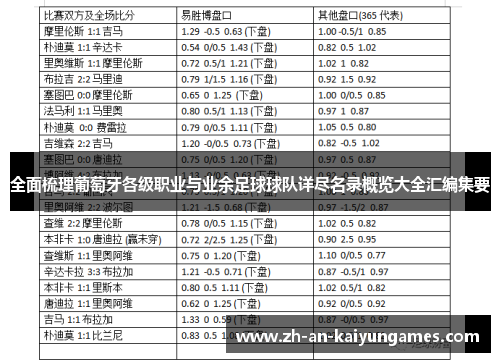 全面梳理葡萄牙各级职业与业余足球球队详尽名录概览大全汇编集要 全面梳理葡萄牙各级职业与业余足球球队详尽名录概览大全汇编集要