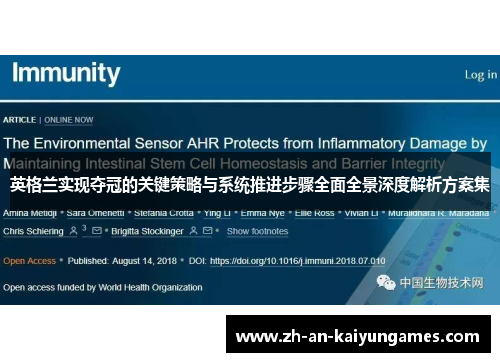 英格兰实现夺冠的关键策略与系统推进步骤全面全景深度解析方案集 英格兰实现夺冠的关键策略与系统推进步骤全面全景深度解析方案集