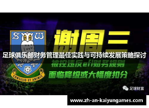 足球俱乐部财务管理最佳实践与可持续发展策略探讨